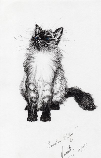 حبيبتي بيبي ، 2015 ، (حبر على ورق) بواسطة فنسنت الكسندر بوث